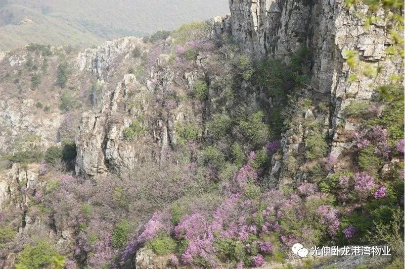 j9数字站(中国集团)公司官网