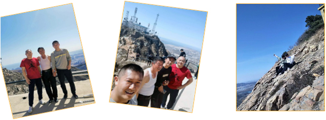 j9数字站(中国集团)公司官网