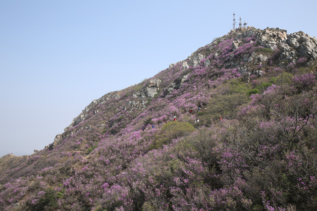 j9数字站(中国集团)公司官网