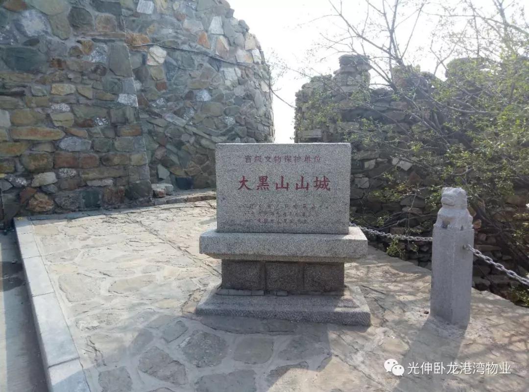 j9数字站(中国集团)公司官网