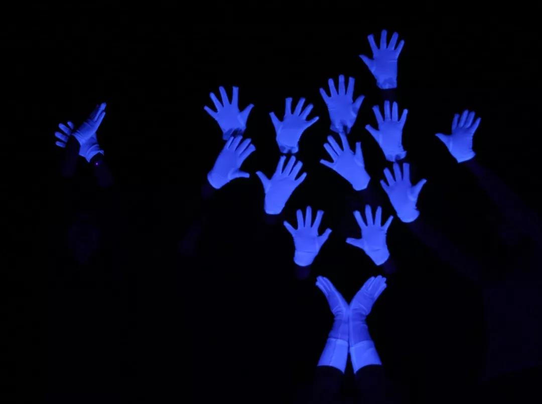 j9数字站(中国集团)公司官网